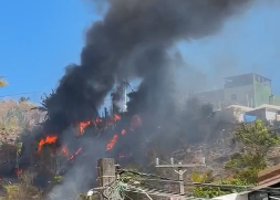 Incêndio atinge área de mata nas dunas do Imbuí, em Salvador