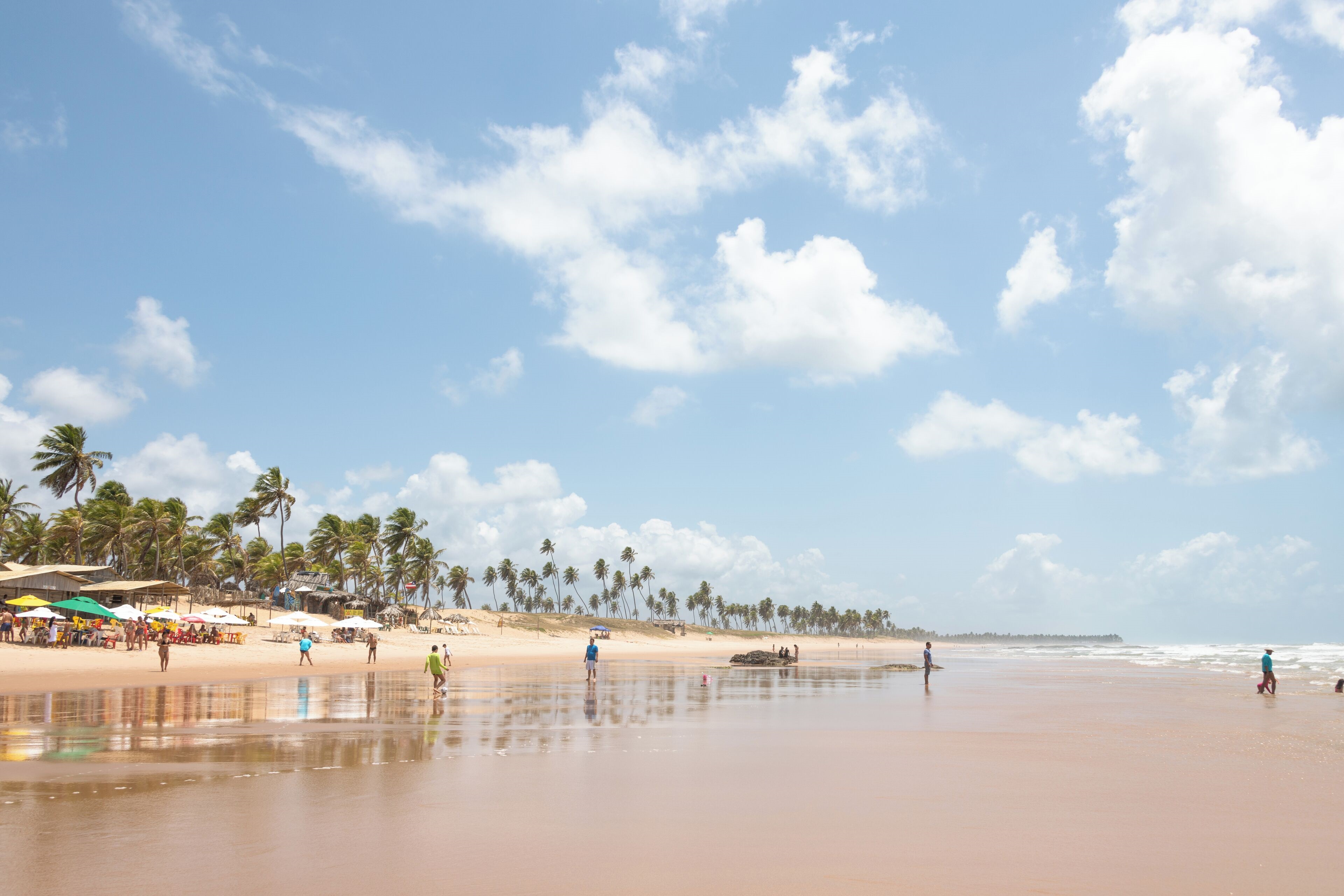 Sete praias da Bahia recebem certificação ambiental Bandeira Azul